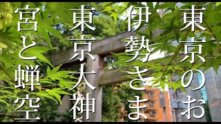 さんぽ屋🚶最強パワースポット〜東京のお伊勢さま「東京大神宮」一緒にお参りしましょ\