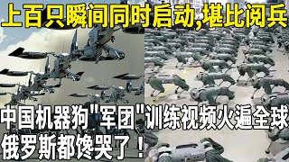 上百隻機器狗同時啟動，現場影片堪比閱兵式！中國機器狗「軍團」訓練影片火遍全球！俄羅斯看的眼睛都直了！