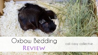 Review: Oxbow Pure Comfort Bedding for Guinea Pigs