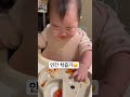 d 200 토마토 러버 귀여운아기 babyshorts baby 육아 육아일기 아기 cute 애기 자기주도이유식 6개월아기 blw milestone