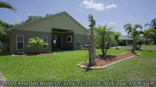 19503 Morden Blush Dr  Lutz, FL