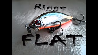 ZipBaits Rigge FLAT 45 S.  Береговая рыбалка !