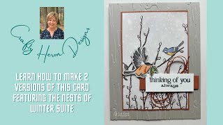 Nests of Winter Greeting Card