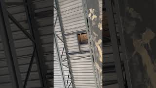 加拿大多伦多钢结构商业建筑7天窗Steel structure commercial building 6skylights in Toronto, Canada