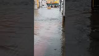 大牟田　大雨