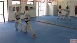 Wado-ryu - Ippon-kumite (1-10)