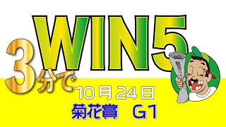 ■10月24日■【WIN5予想】★秋華賞馬券もデータ値上位で的中！★３分半でサクッと予想公開します。混戦菊花賞はあの２頭を選択！48通りで勝負！