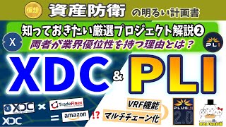 【仮想通貨ＸＤＣ・ＰＬＩ解説❷優位性分析】貿易業界のAmazonになるXDC、オラクル業界の変革者になるPlugin、その理由を解説します　＃１１０　XinFin　MLETR　貿易金融　VRF