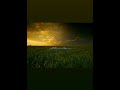 Code blue - The dream