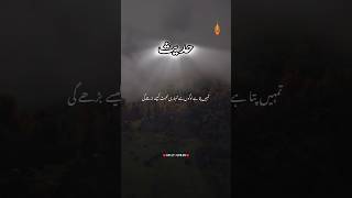 ♥️ISLAMIC HADEES♥️حضور فرماتے ہے  #islam #explore #shortvideo #viral #islamicstatus #islamichadees