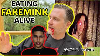 Fakemink and the meat-grinder of internet fame: "Terrified" analysis