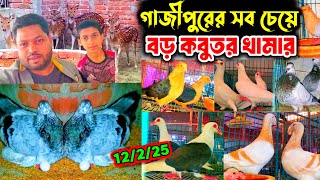 গাজীপুরের সর্ব বৃহত্তর কবুতর খামার | ১হাজার জোড়া কবুতর | শখের খামার খামার | shafiq vai pigeon lover