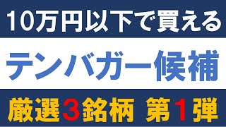 10万円以下で買える テンバガー候補 厳選３銘柄 第１弾！