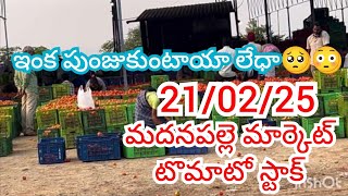 21-02-25 Madanapalle Tomato Market price Today || Today Tomato Market Rate in Madanapalle #today