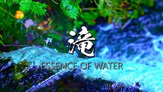 すべてを忘れていい時間 || 滝 - ESSENCE OF WATER\