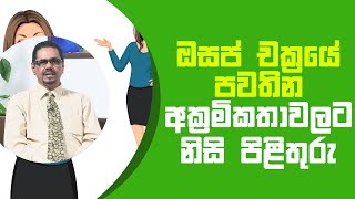 ඔසප් චක්‍රයේ පවතින අක්‍රමිකතාවලට නිසි පිළිතුරු | Piyum Vila | 17 - 05 - 2021 | SiyathaTV