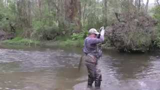 Gavin Hurley fly fishes a small stream an hour from Melbourne...