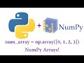 Python - NumPy Arrays!