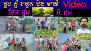 save trees 🌴🌴  vlogs II ਇੱਕ ਰੁੱਖ ਸੌ ਸੁੱਖ II village mehron planting vlog