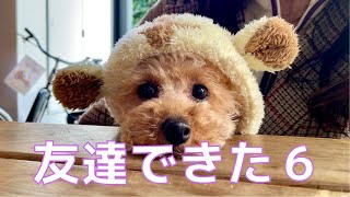 ３匹のビビリ犬が集合したら可愛すぎたw