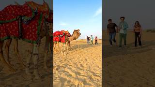 Bolne Wale camel 🐪 || Akshay Nagwadiya || #shorts #akshaynagwadiya #desert