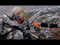 Bowhunting Musk Ox in Greenland - 7 year dream hunt | Pure Hunting S9 E10