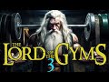 Lord of the Gyms 3