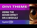 Divi Theme Using The Hover Effect On A Module