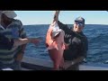 Coral Bay , Fishing WA Series 4 Ep 8 Part 2