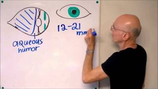 TAKE 5 - Professor Steve McKillup compares and contrasts active and passive presentation.