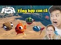 Tôi Là 4 Con Cá Một Lúc Siêu Khó Thành Công Về Biển !? bqThanh và Ốc Chơi I Am Fish - Part 5