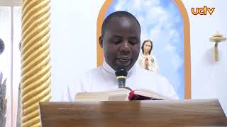 UCTV Daily Readings \u0026 Reflections | Rev. Fr. Stephen Ssenkubuge | SATURDAY 11TH JANUARY 2025