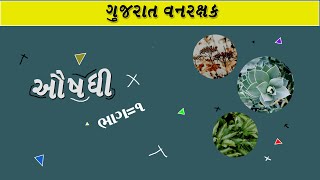 Gujarat forest guard વન ઔષધિ સ્પેશીયલ । વન ઔષધિ । RFO |