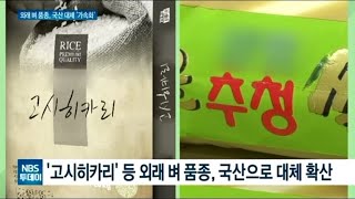 외래종 벼 품종, 국산 품종으로 대체 재배 확산 속도낸다