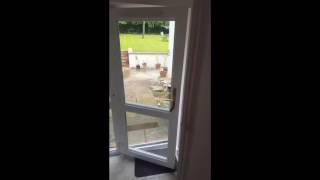 Son scares mum everyday ' IDIOT'