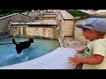 Baby Reacts to Dog Jumping in the Public Fountain!