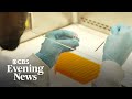 USAID cuts in Uganda could increase Ebola risk worldwide, former official warns