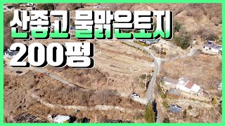 2029 경북 경주시 양남면 신대리,산좋고 물맑은토지,200평