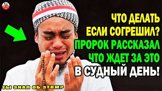 ЧТО ДЕЛАТЬ ЕСЛИ СОВЕРШИЛ ГРЕХ? КАК ДОБИТЬСЯ ПРОЩЕНИЯ АЛЛАХА? ЧТО ОБ ЭТОМ ГОВОРИЛ ПРОРОК? хадис