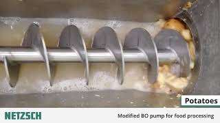 NETZSCH BO Pump Grinder pump