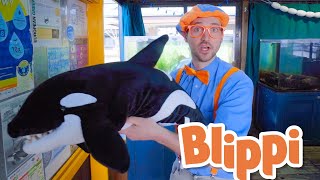 Blippi Learns About Sea Creatures! | Learn About Animals For Kids | Educational Videos For Toddlers