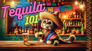 Tequila 101: Beginner Liquor Guide 🌵