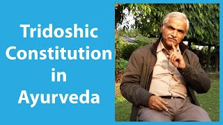 Tridoshic constitution | Tridosha Ayurveda theory, characteristics, balance and diet.