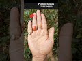 আপনার হাতেও কি এই ধরনের হৃদয় রেখা আছে how to read your own palm