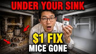 $1 Mix Destroy Mice Under Your Sink in 24 Hours — Plumbers Won’t Tell You