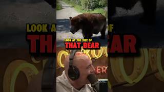 Joe Rogan’s Reacts On The HUGE Bear Walk By