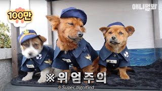 살기위해 경찰서로 들어갔던 강아지 포순이.. 그리고 1년 후ㅣDog Who Visited Police Station To Survive.. And A Year Later