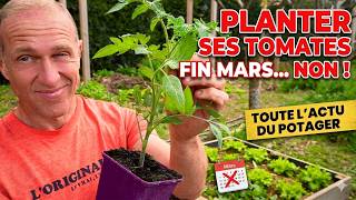 Le tour des cultures avant le FROID qui arrive...! #potager saison 2026