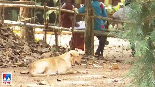 നായകളെ കൊന്ന് കുഴിച്ചുമൂടി | Kottayam dog | Kill | University | Students | Teachers