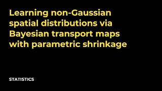 Learning non Gaussian spatial distributions via Bayesian transport maps with parametric shrinkage